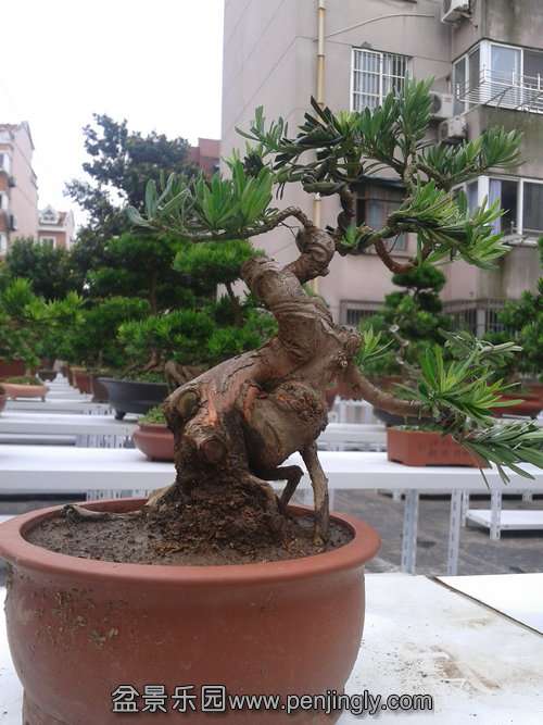 2013-06-24 12.00.44.jpg