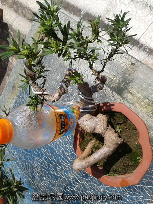 2013-04-26 13.26.46.jpg