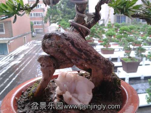 2013-05-26 13.14.00.jpg