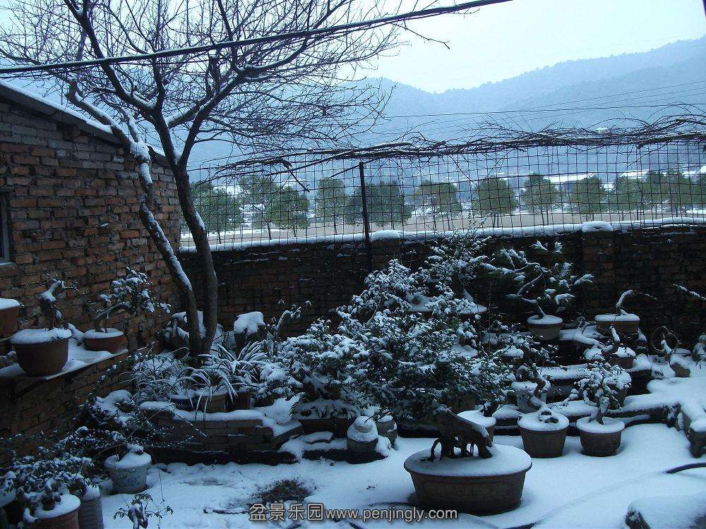 Ƭ 004.jpg