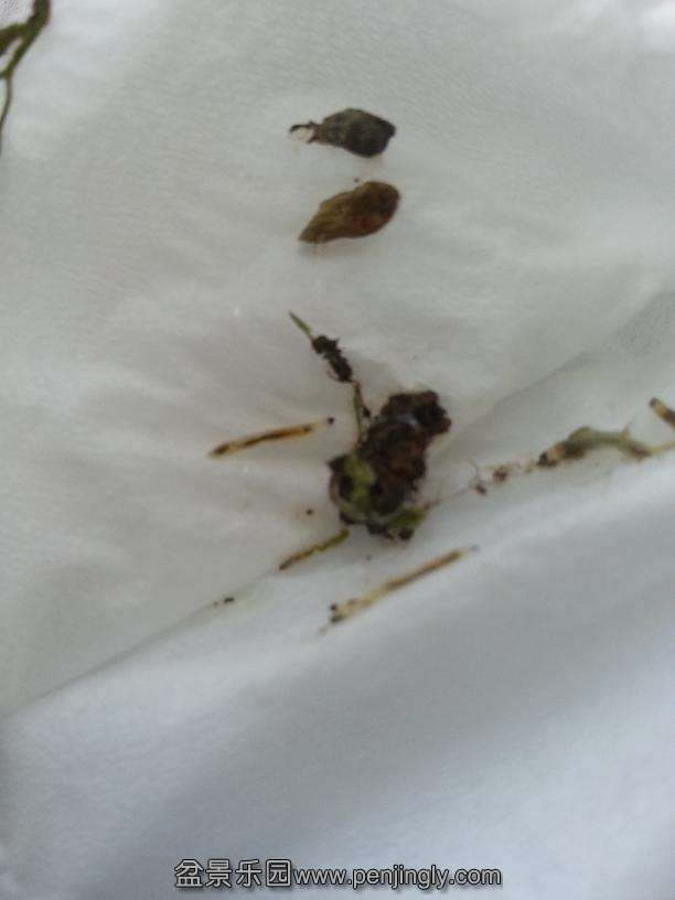 20130728_165150.jpg