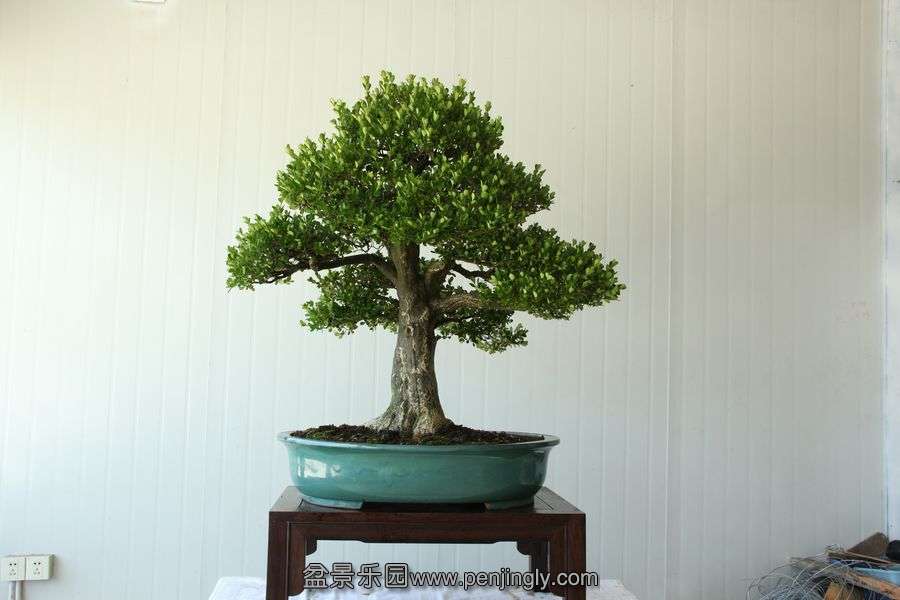 2013.7.27 ---2 055.jpg
