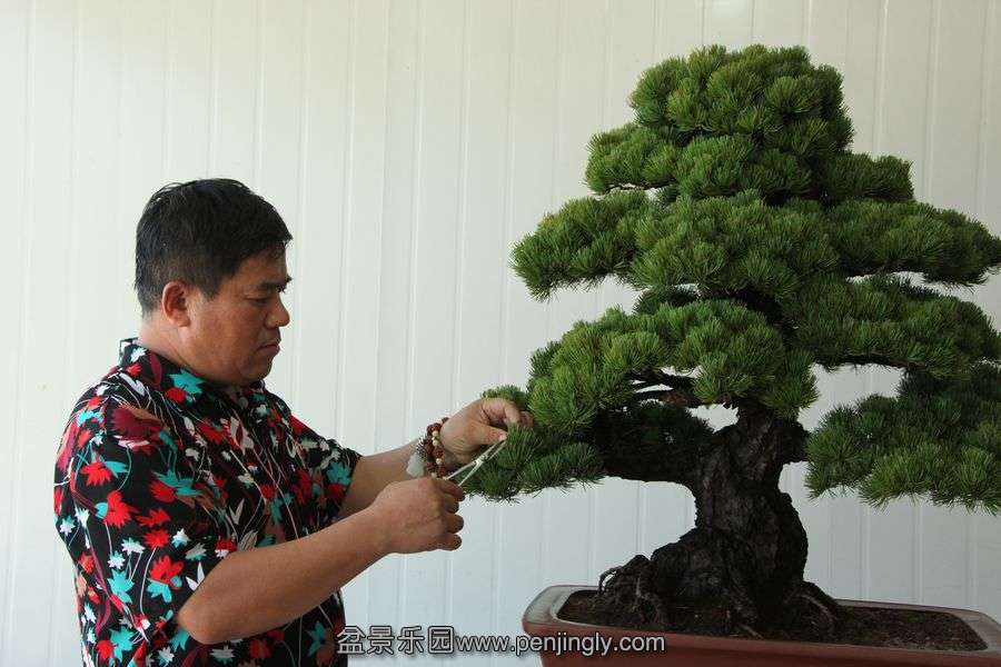 2013.7.27 ---2 060.jpg