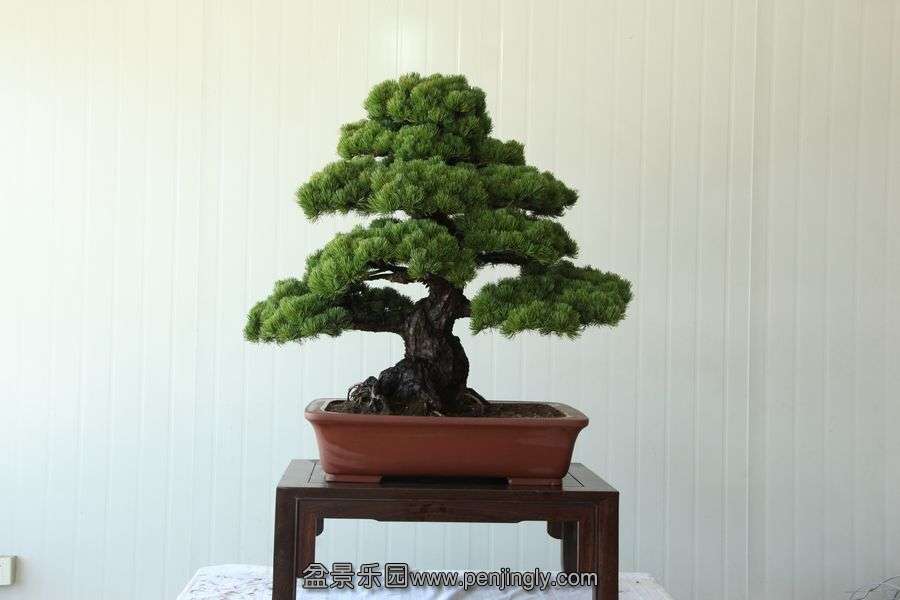 2013.7.27 ---2 062.jpg