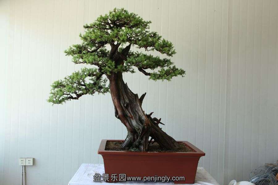 2013.7.27 ---2 064.jpg