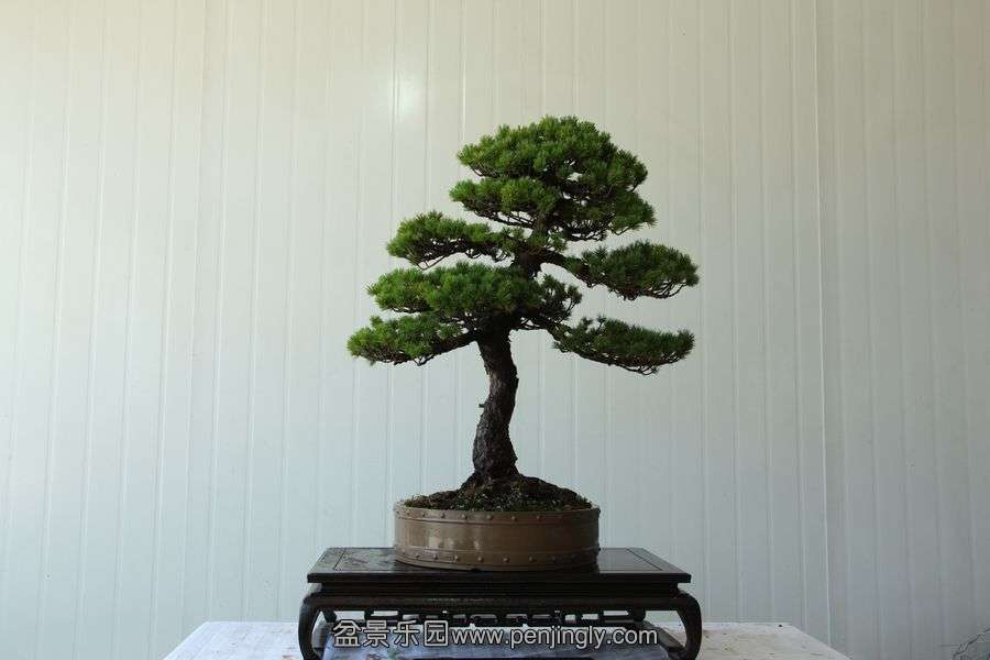 2013.7.27 ---2 069.jpg