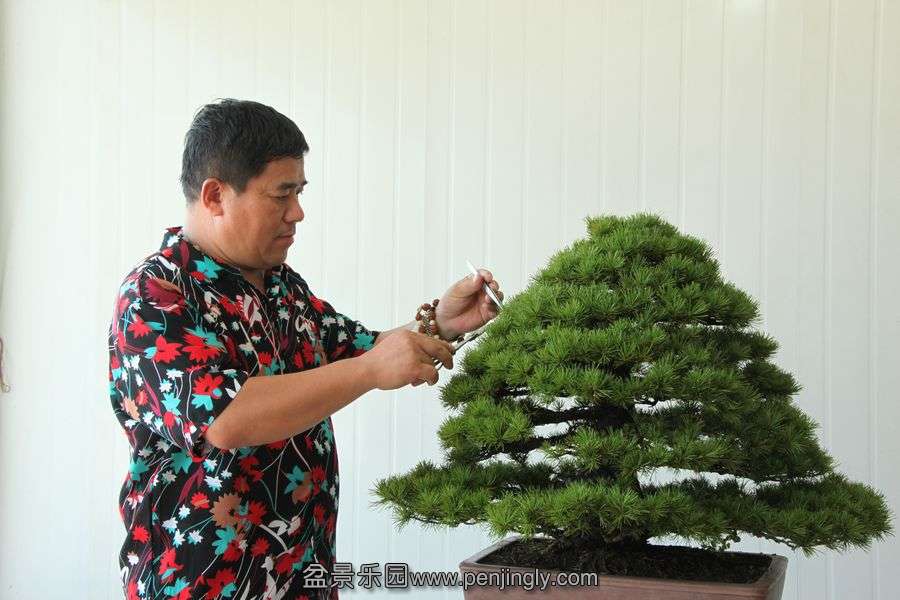 2013.7.27 ---2 089.jpg