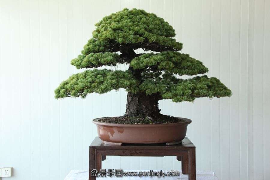 2013.7.27 ---2 112.jpg