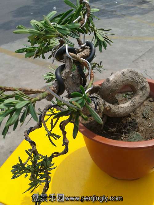 2013-07-28 13.49.17.jpg