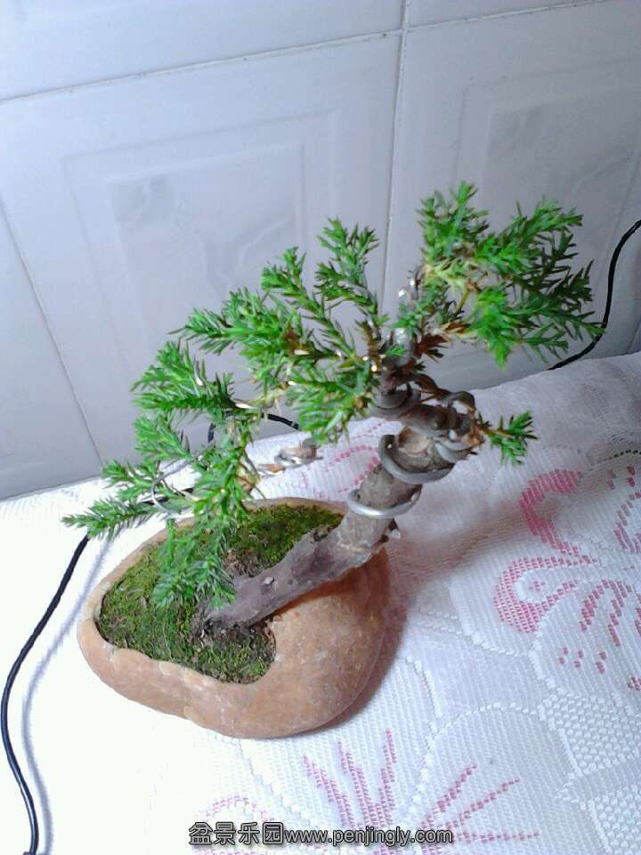 QQͼƬ20130728223214.jpg
