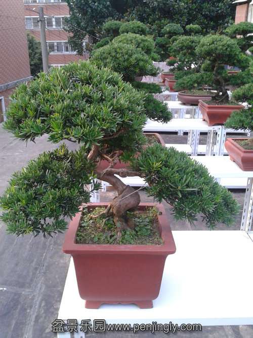 2013-07-25 17.33.04.jpg