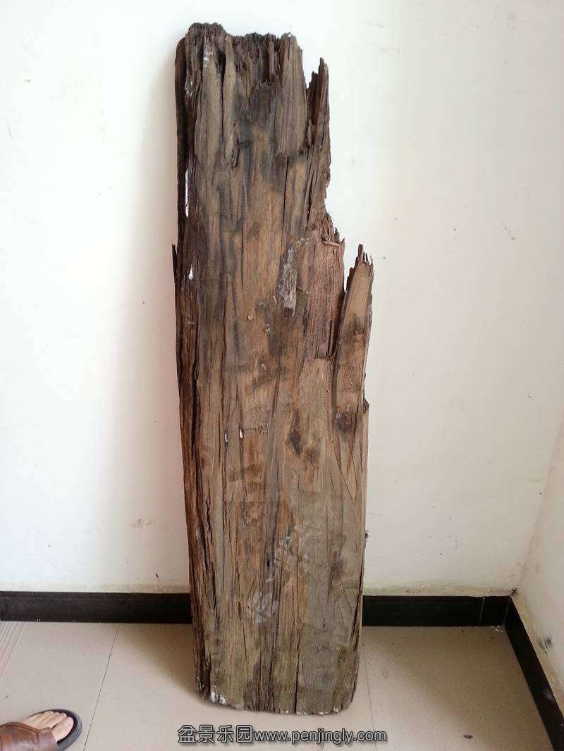 20130729_144749__.jpg