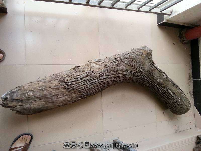 20130729_141454_.jpg
