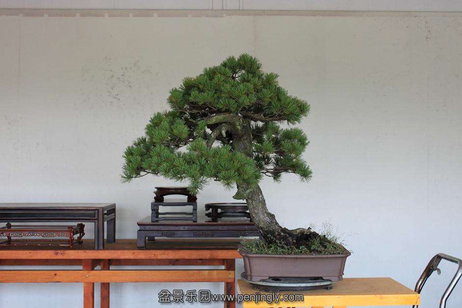Ƭ 028.jpg