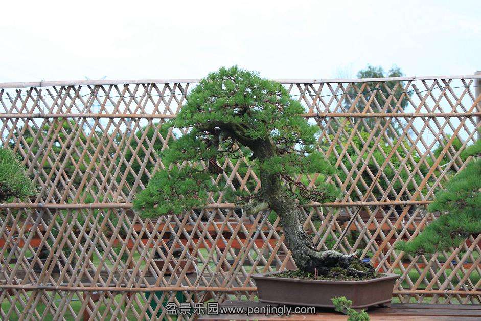 Ƭ 032.jpg