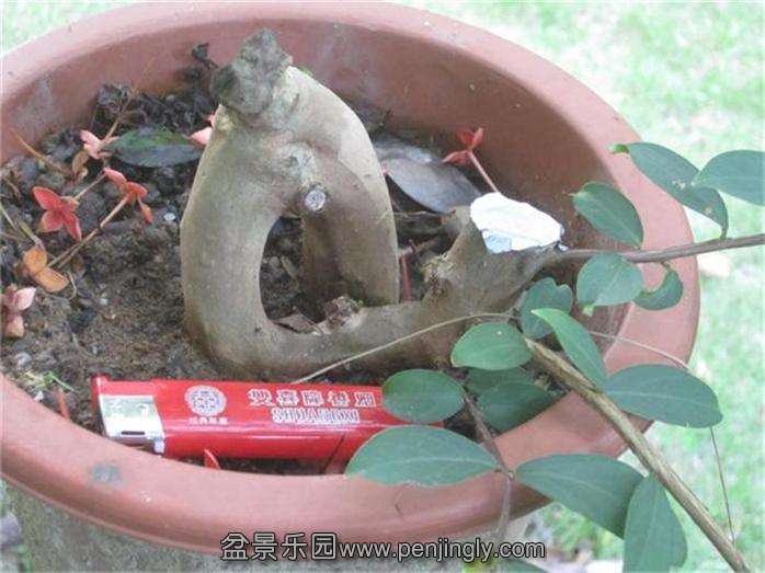 Ƭ 090.jpg