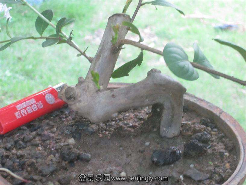 Ƭ 091.jpg