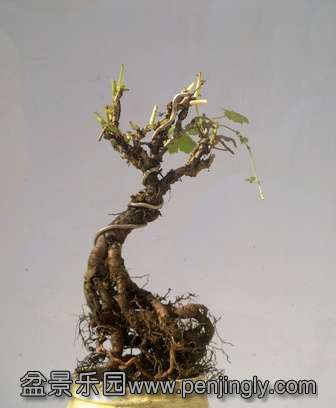 20130730749.jpg