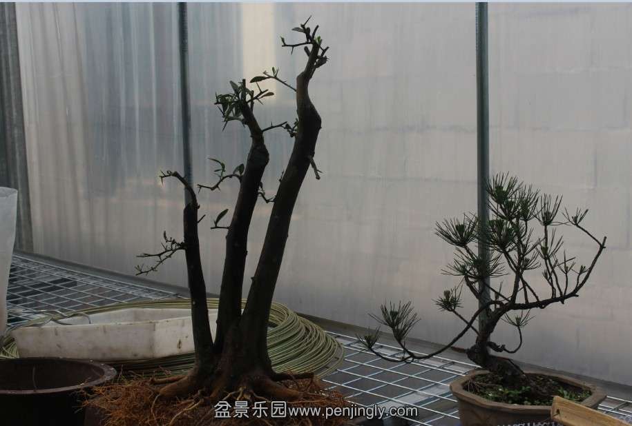 QQͼƬ20130730111314.jpg