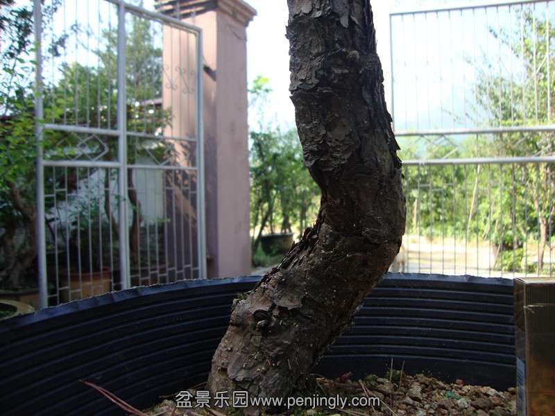 DSC01323_.jpg