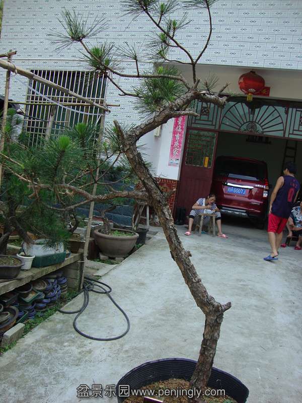DSC01324_.jpg