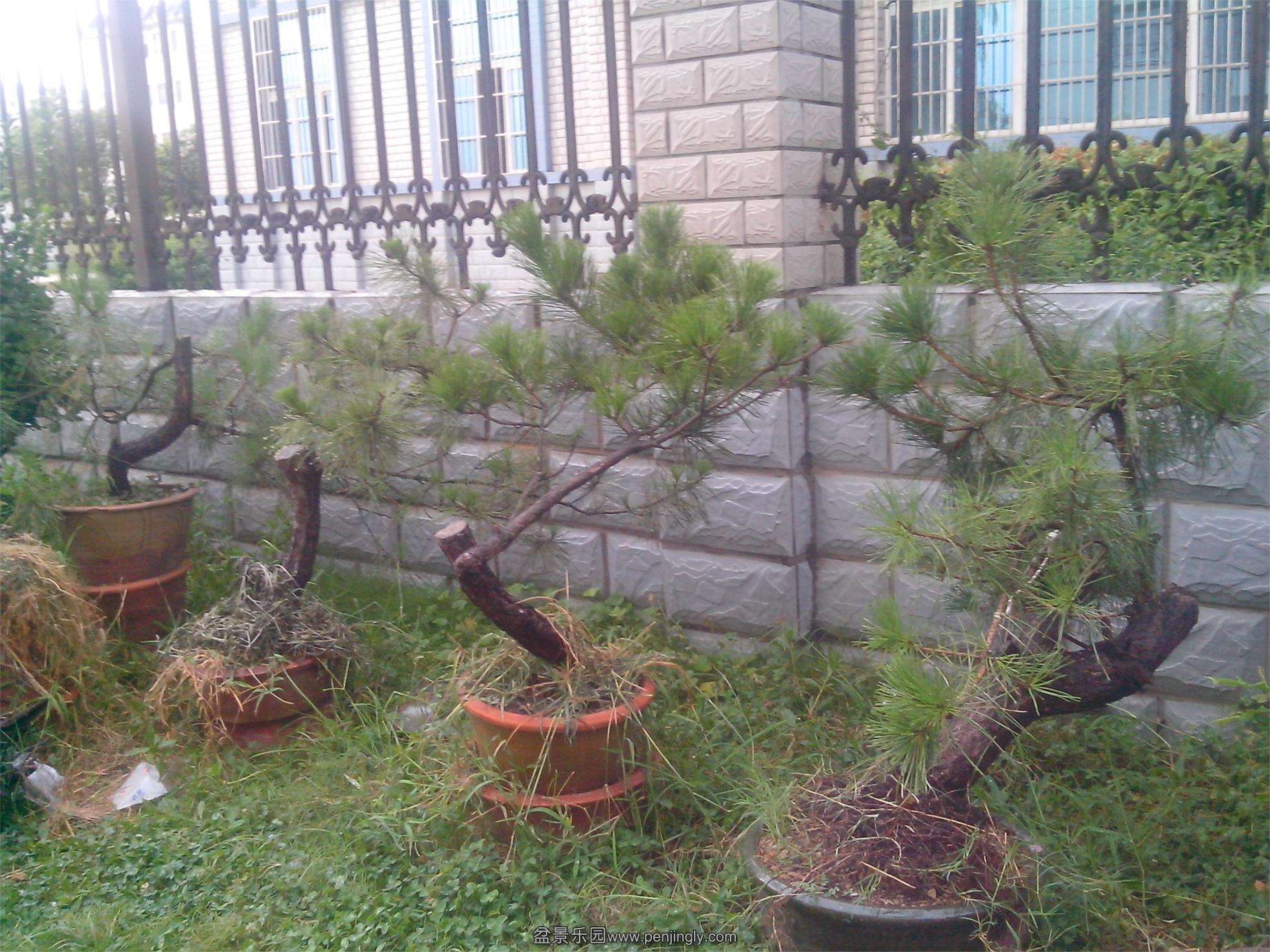 IMG20130730001.jpg