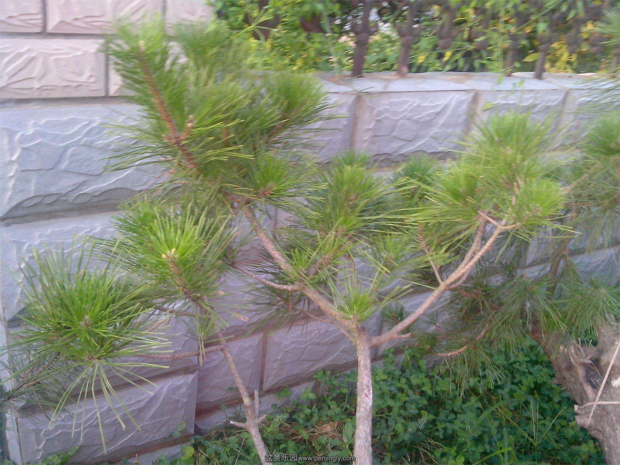 IMG20130701003.jpg