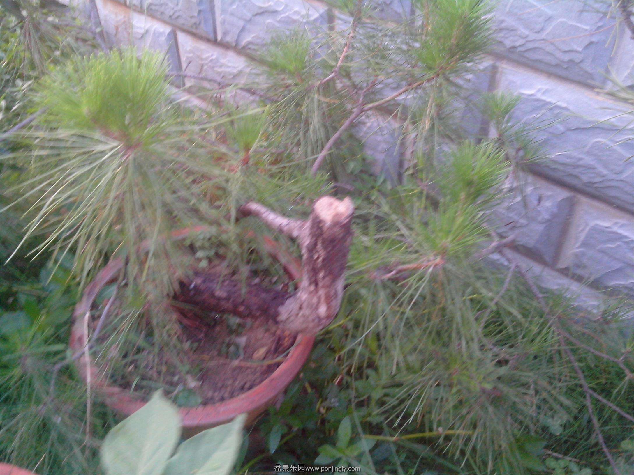 IMG20130701004.jpg