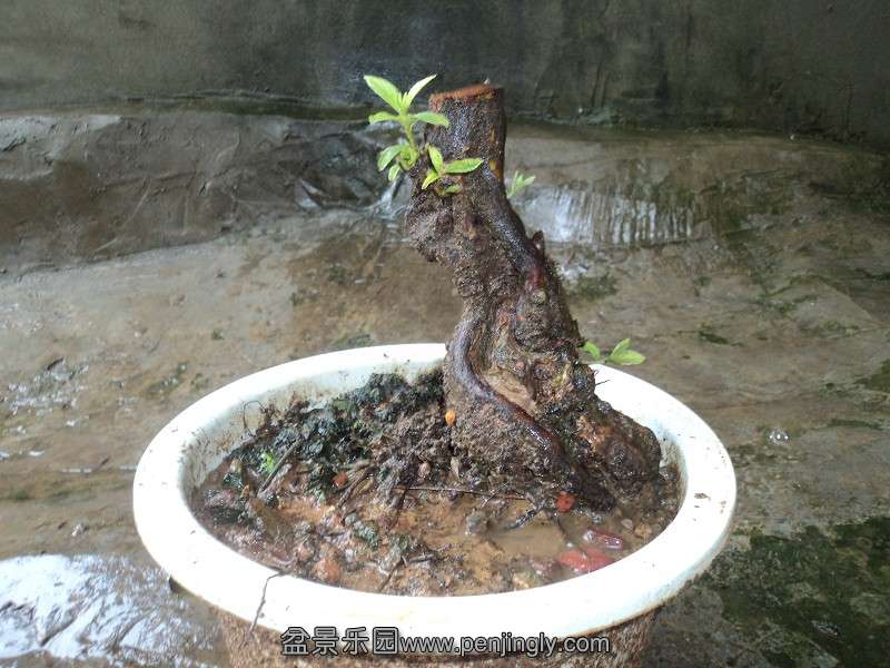 컨ž