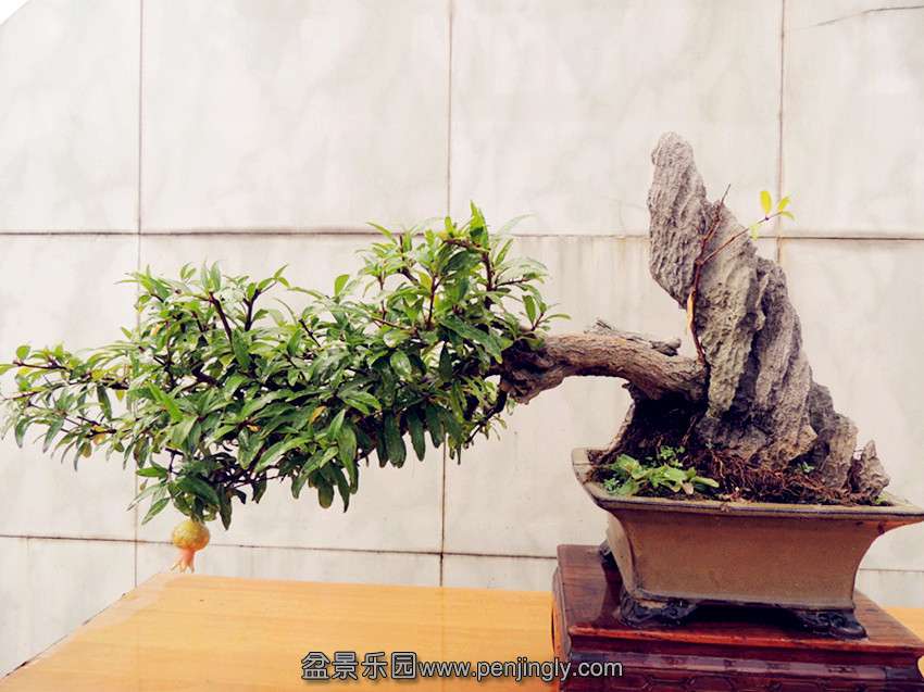 DSCN1251__.jpg