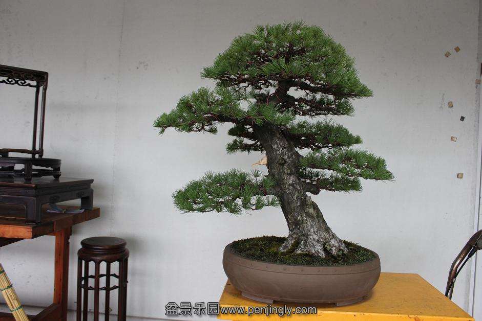 Ƭ 003.jpg
