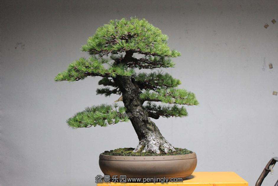 Ƭ 004.jpg