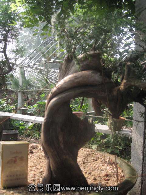 IMG_8114.JPG