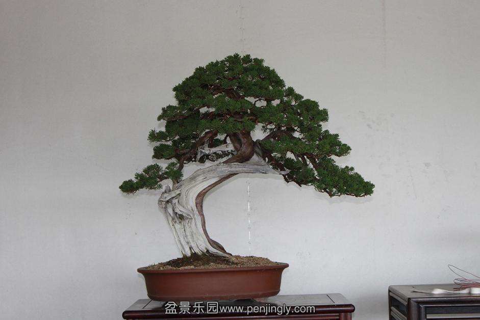 Ƭ 011.jpg