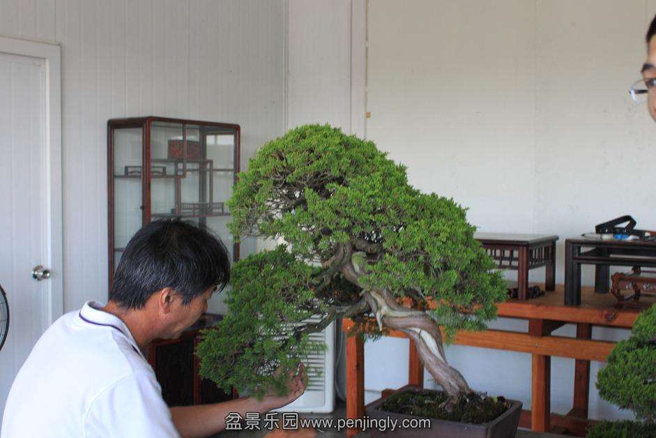 Ƭ 005.jpg
