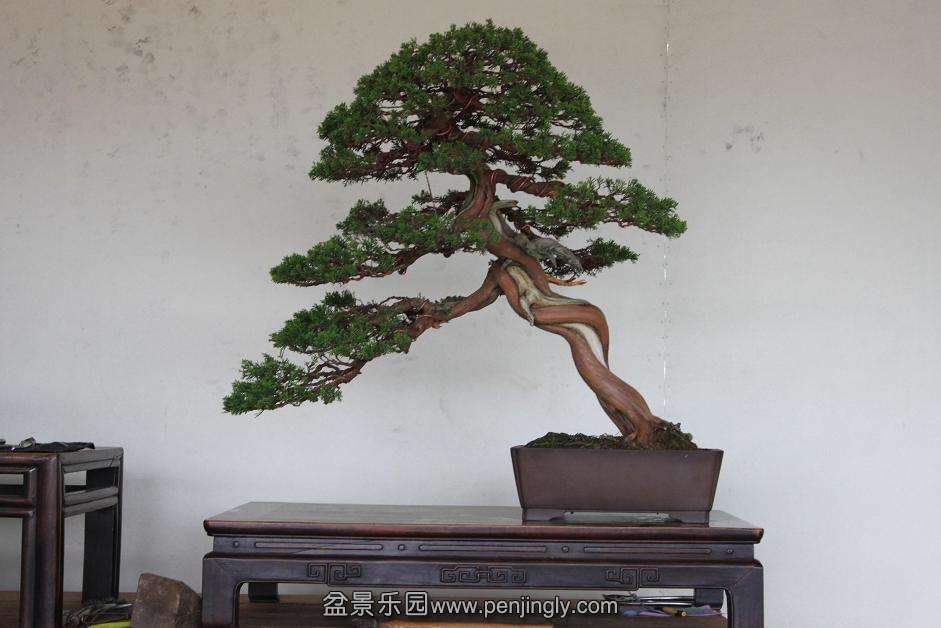 Ƭ 014.jpg