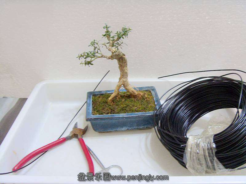 SDC12089_.jpg