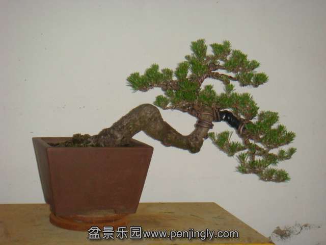 DSC07940.JPG