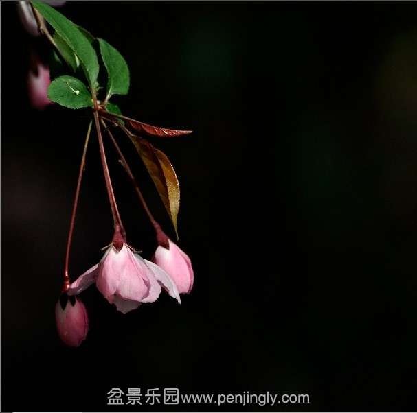 QQͼƬ20130802091921.jpg