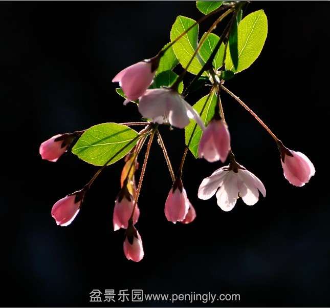 QQͼƬ20130802091925.jpg