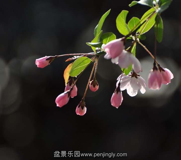 QQͼƬ20130802091935.jpg