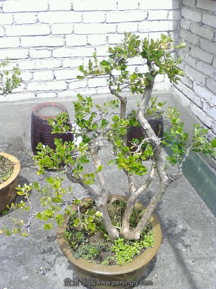 QQͼƬ20130802113133.jpg