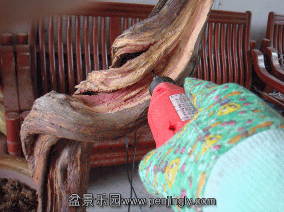 DSC07041.gif
