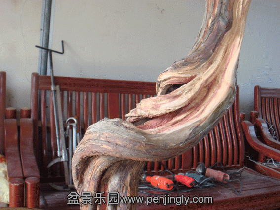 DSC07049.gif