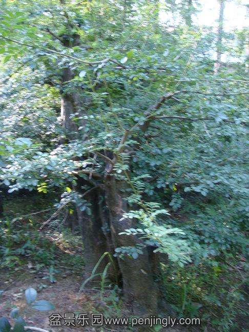 DSC05402.JPG