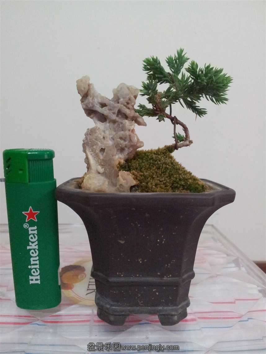 2013080308401623522.jpg
