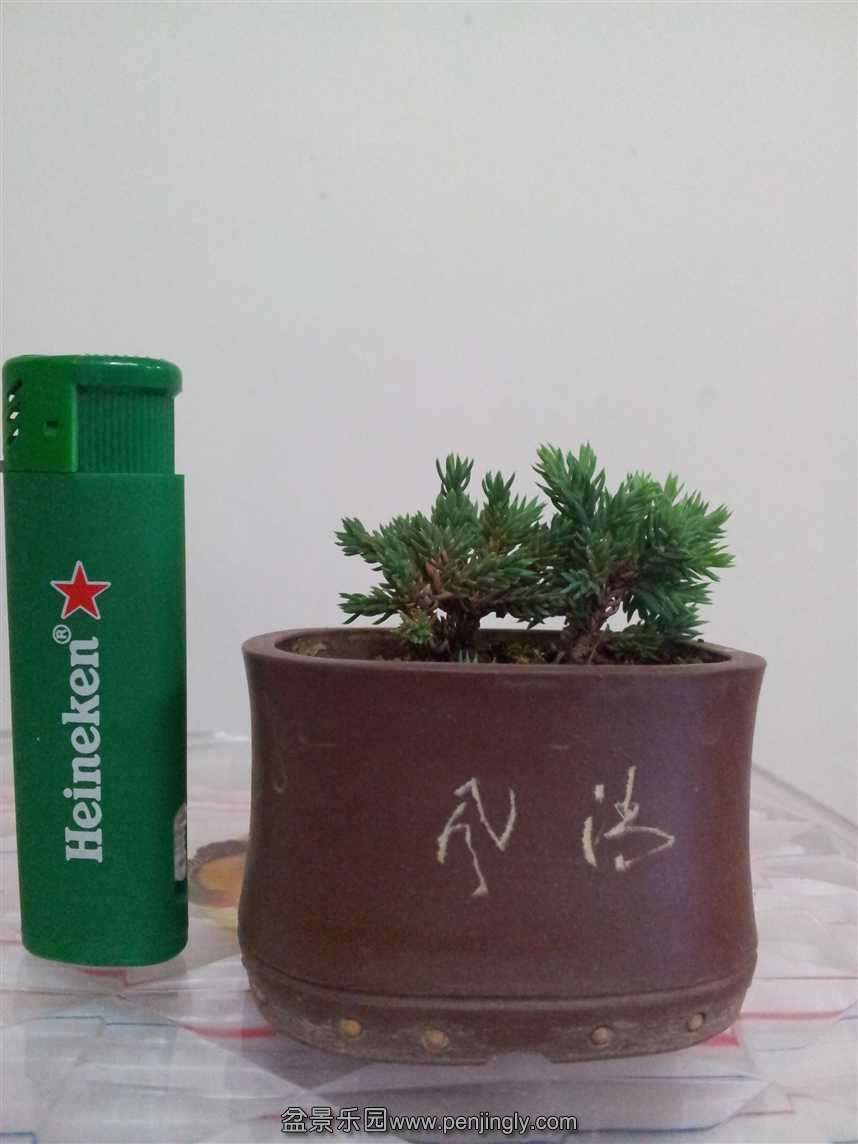 2013080308440830222.jpg