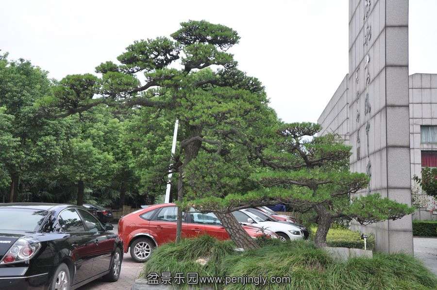 2013,8,1~߷ 03.jpg