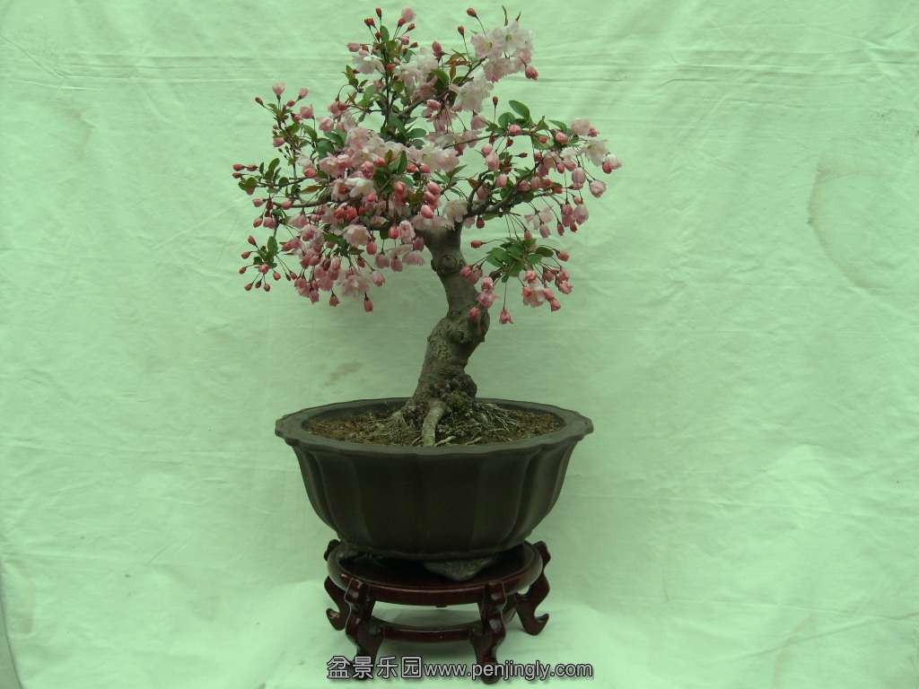 S7303205.JPG
