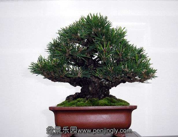 BCD Ratingen 01-10-2011 067.jpg